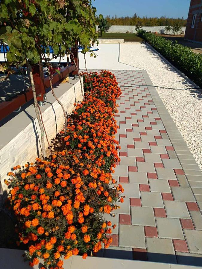 Villa Verbena Mala Cista Phòng bức ảnh